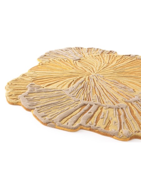 Botanica Rug Yellow 200x200 by Gan Rugs