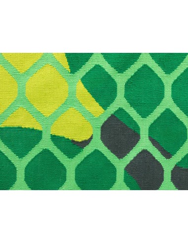 Citrus Outdoor Rug Lime 232x300 by Gan Rugs