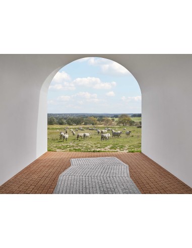 Lines Rug Grey 205x334 by Gan Rugs